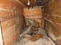 Simon Jan 2015 038 : Simon Jan 2015